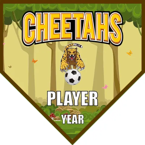 Cheetahs 1 Soccer Banner-fast-soccer-banner-picture