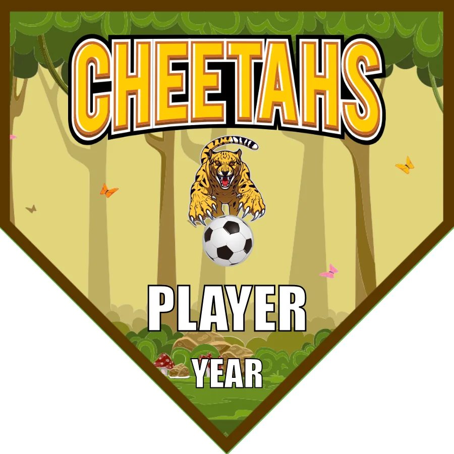 Cheetahs 1 Soccer Banner-fast-soccer-banner-picture