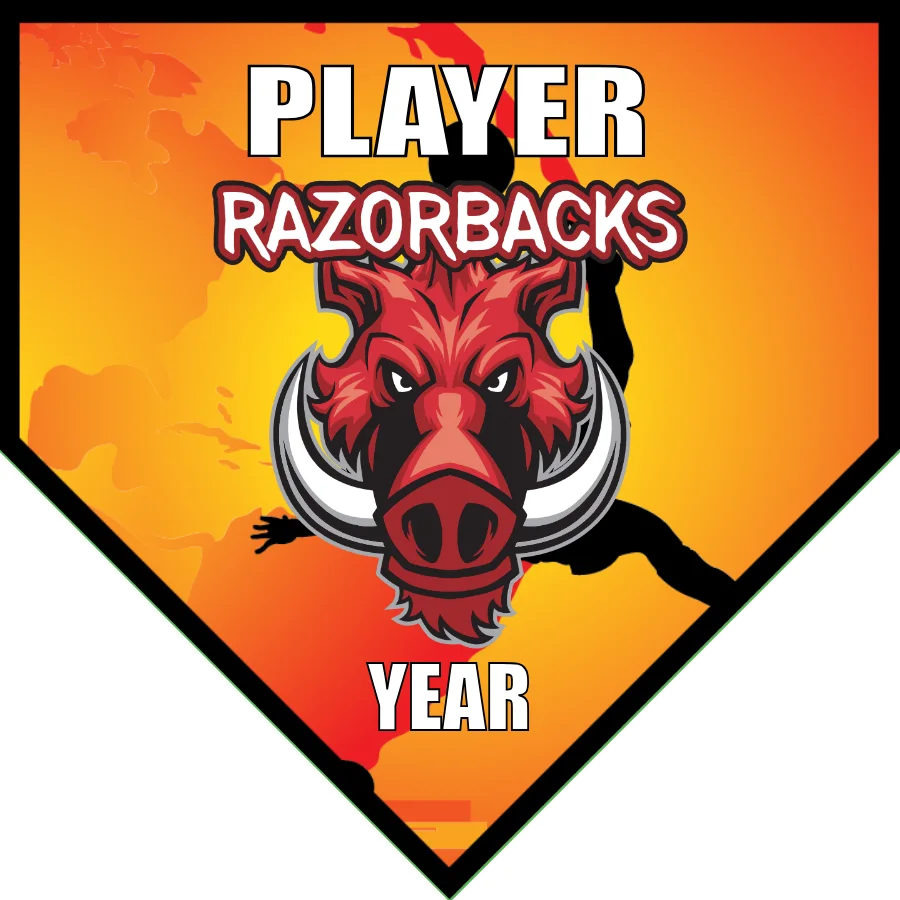 Razorbacks Soccer Banner-soccer-team-banner-picture