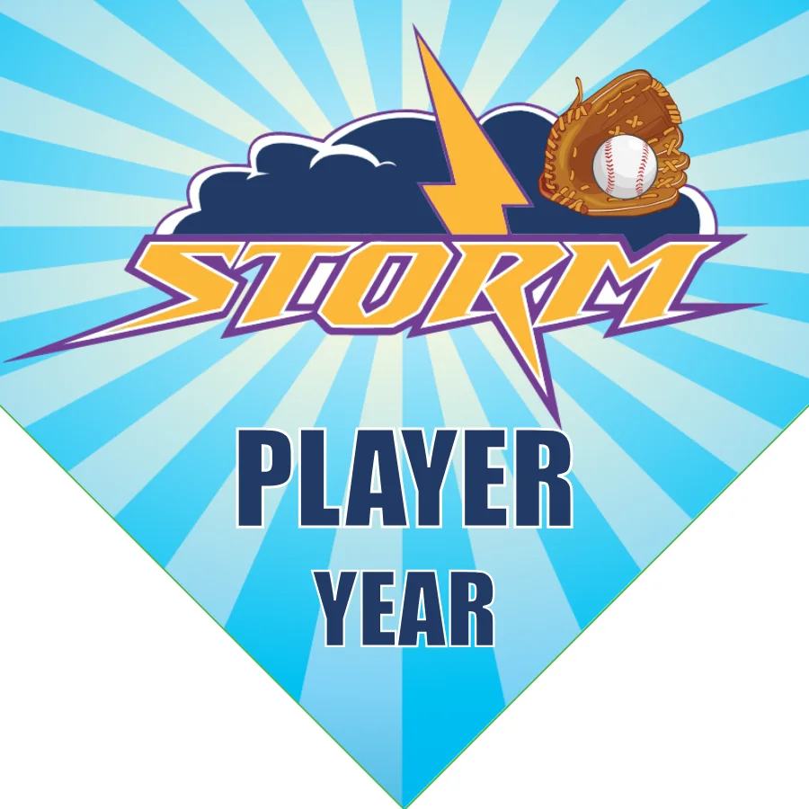 Storm 2-yellow-blue-home-softball-banner-gallery-picture
