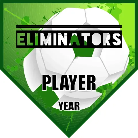 ELIMINATOR Soccer Banner-how-to-make-soccer-banner-picture