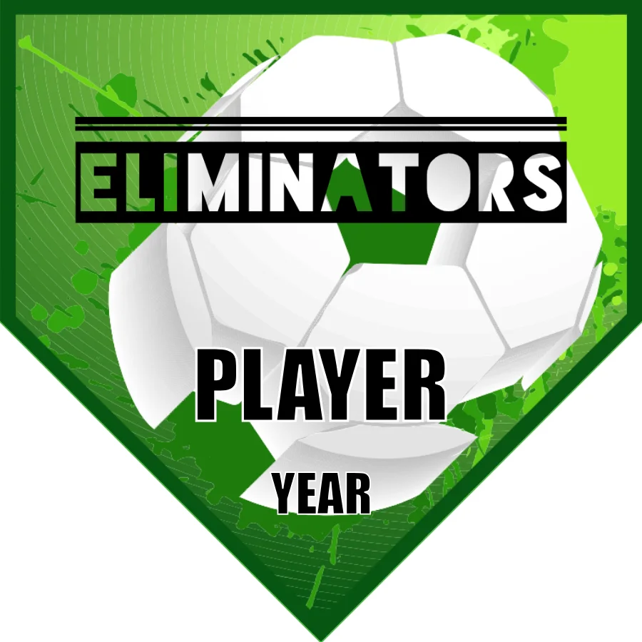 ELIMINATOR Soccer Banner-how-to-make-soccer-banner-picture