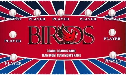 Birds Softball Banner