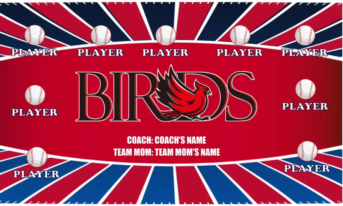 Birds Softball Banner