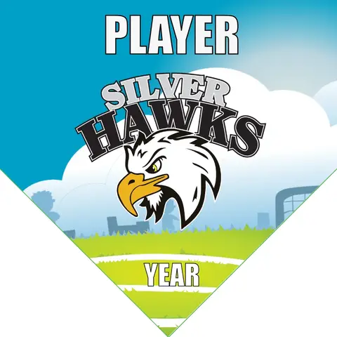 SilverHawks Soccer Banner-soccer-ball-banner-picture