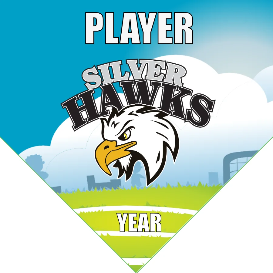 SilverHawks Soccer Banner-soccer-ball-banner-picture