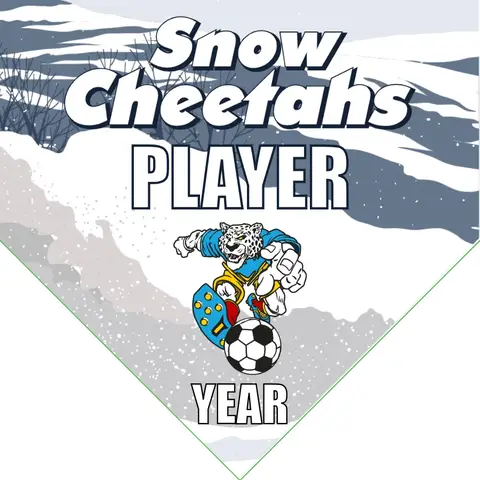 Snow Cheetahs Soccer Banner-soccer-banner-images-picture