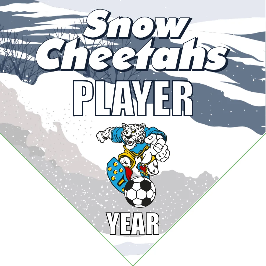 Snow Cheetahs Soccer Banner-soccer-banner-images-picture