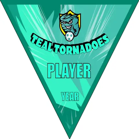 Tornadoes Teal Soccer Banner--soccer-ball-banner-picture