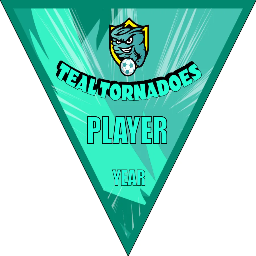 Tornadoes Teal Soccer Banner--soccer-ball-banner-picture