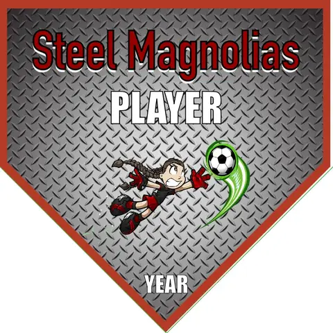 STEEL MAGNOLIAS 2 Soccer Banner-soccer-banner-picture