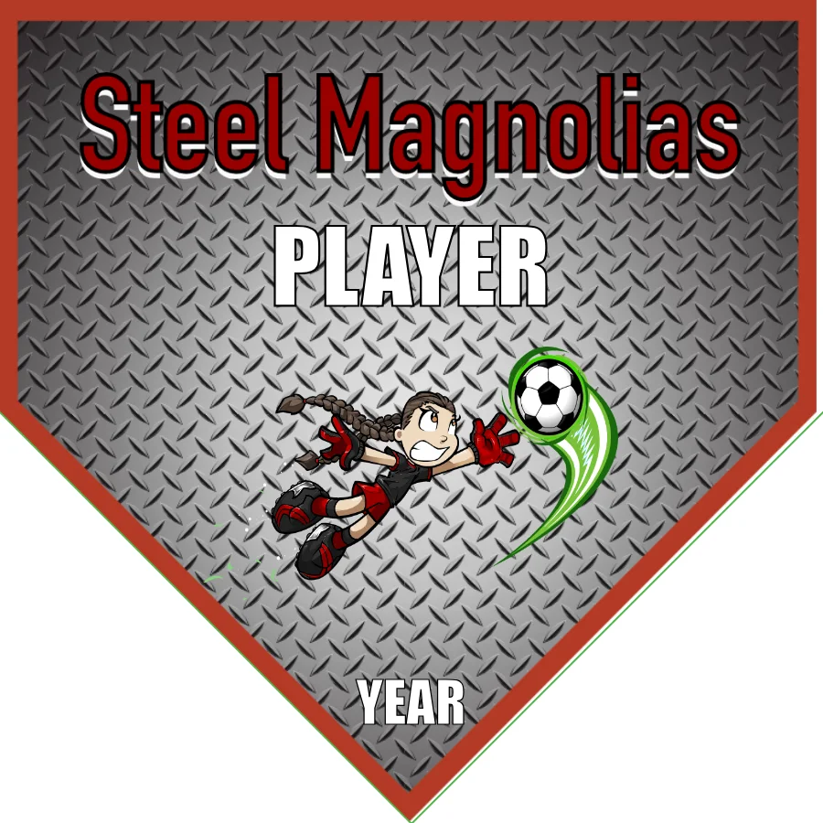 STEEL MAGNOLIAS 2 Soccer Banner-soccer-banner-picture