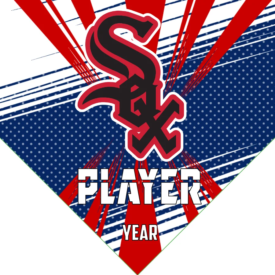 Chicago white Baseball Banner-modern-baseball-banner-images