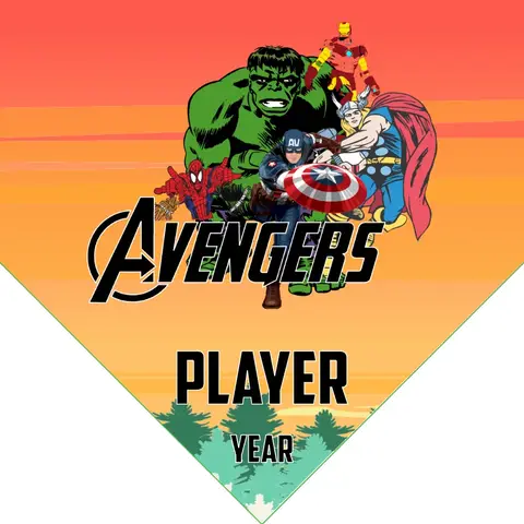 Avengers 4 Soccer Banner-soccer-banner-diy-picture