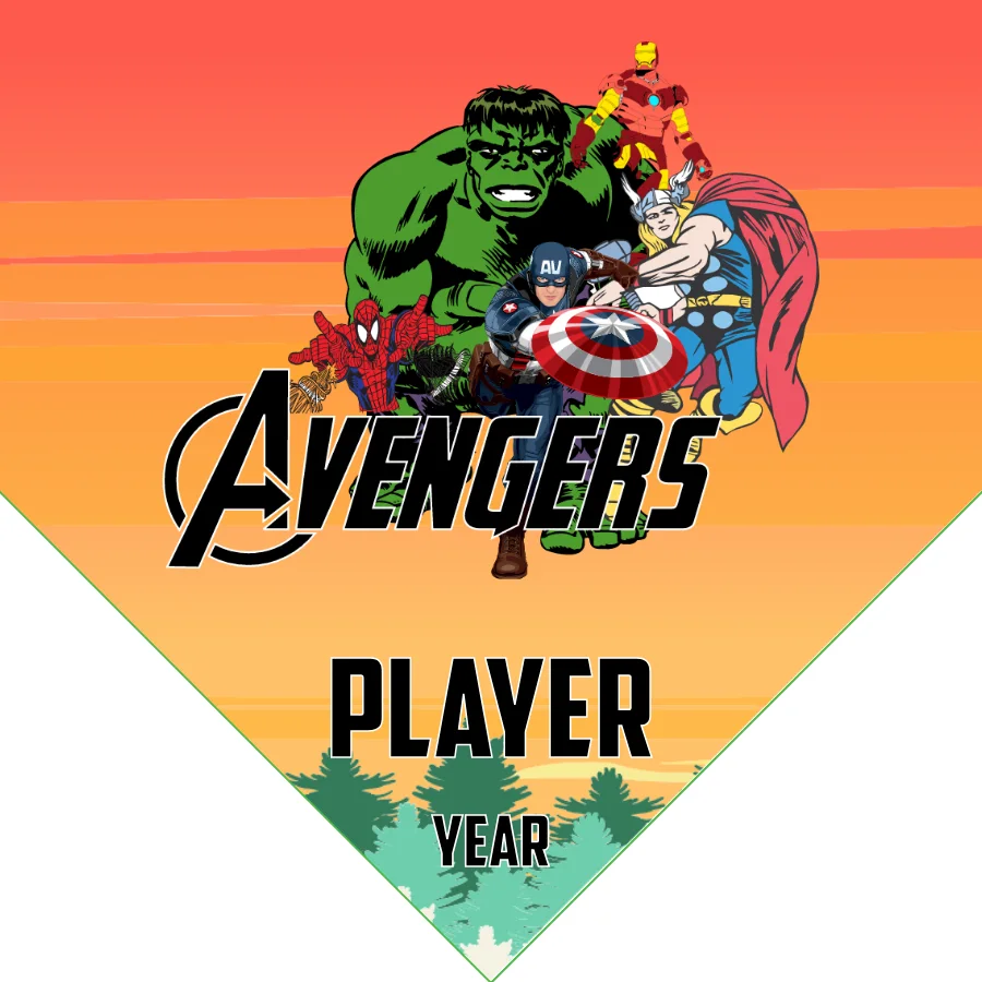 Avengers 4 Soccer Banner-soccer-banner-diy-picture