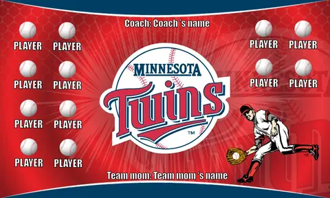 Twins Baseball Banner-baseball-banner-pics-images