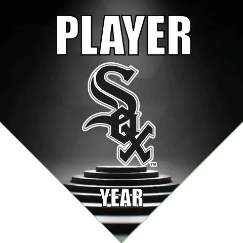 Sox 6 Baseball Banner