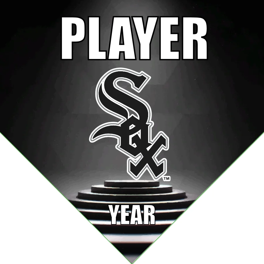 Sox 6 Baseball Banner