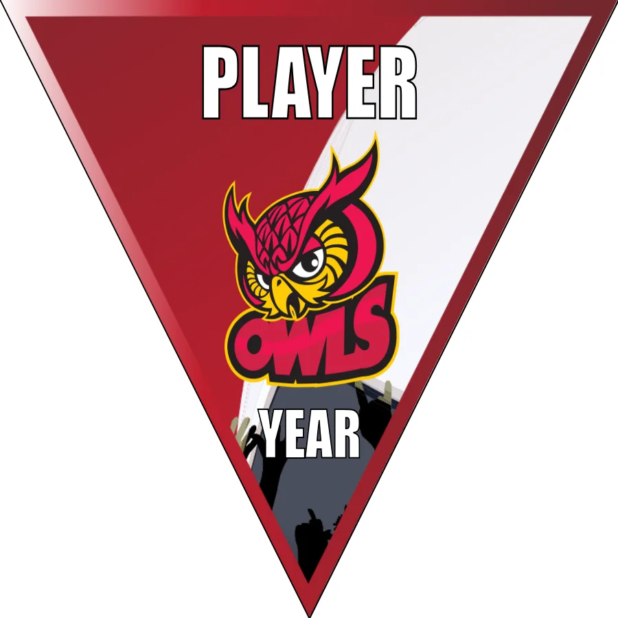 Owls 2 Soccer Banner-soccer-banner-stand-picture