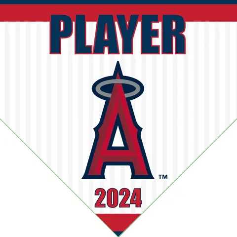 Angels 2 Baseball Banner