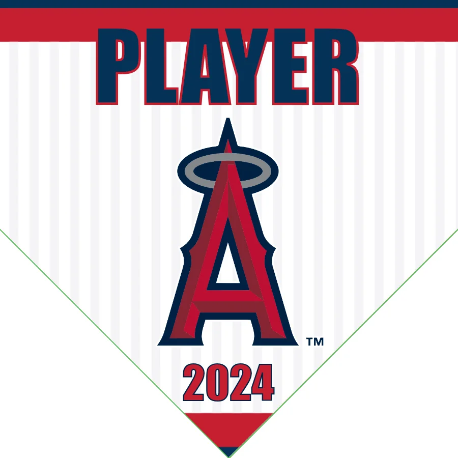 Angels 2 Baseball Banner