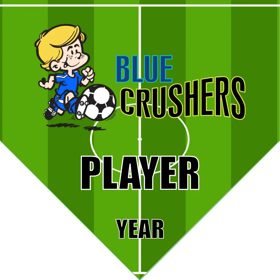 Crushers Blue Soccer Banner-soccer-mini-banner-picture