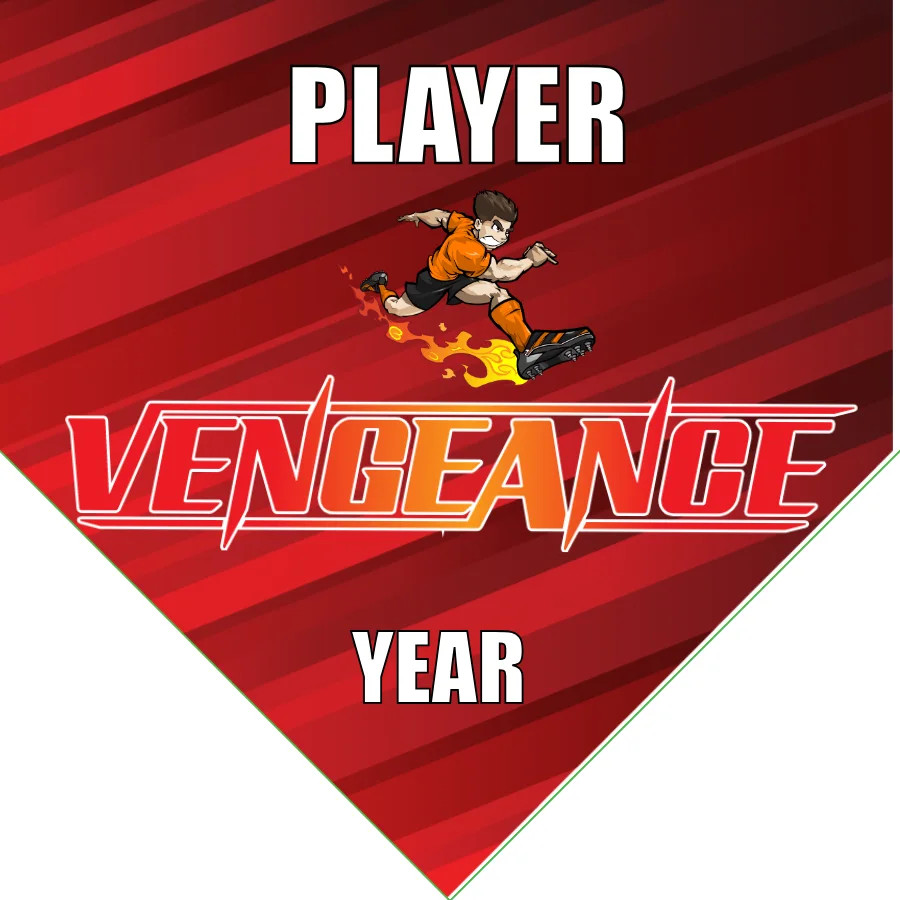 Vengeance Soccer Banner-soccer-banner-picture