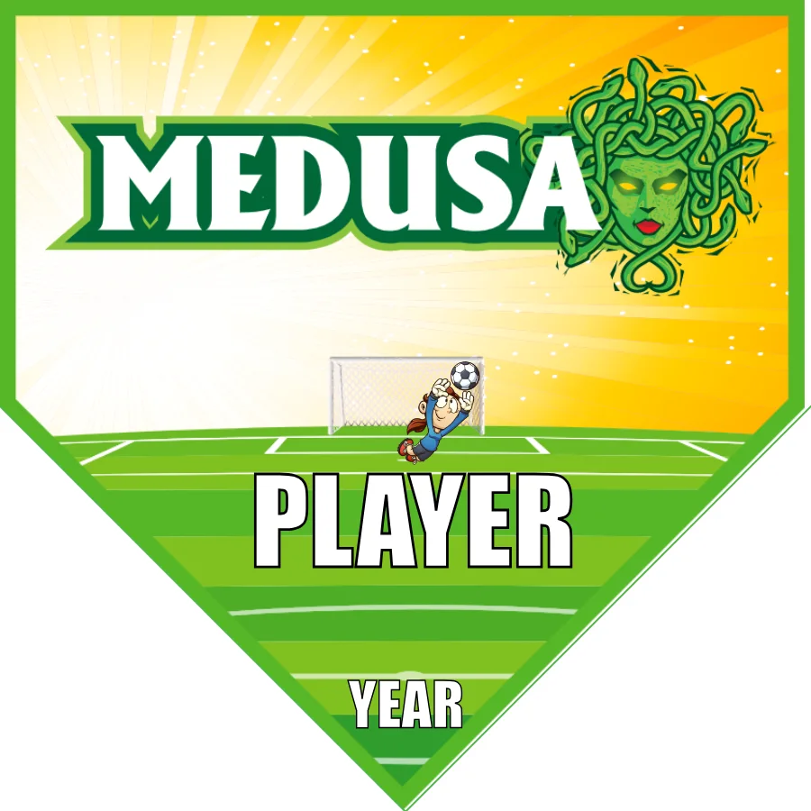 Medusa Soccer Banner-soccer-team-banner-picture