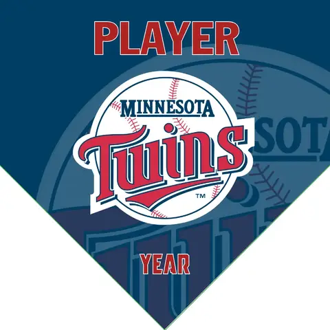 Twins 2 Baseball Banner-baseball-banner-sponsorship-letter-images