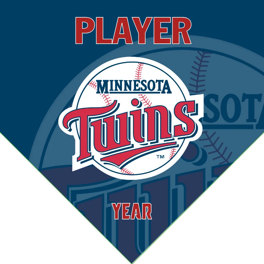 Twins 2 Baseball Banner-baseball-banner-sponsorship-letter-images