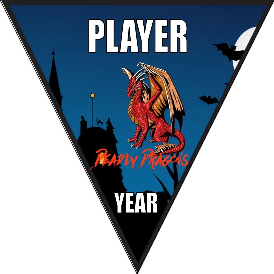 Deadly dragons Soccer Banner-soccer-field-banners-picture