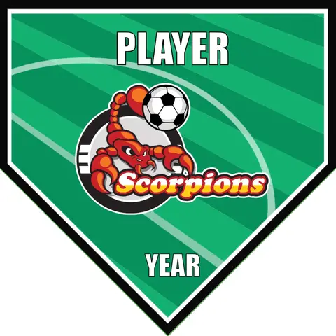 Scorpions Soccer Banner-soccer-banners-and-flags-picture