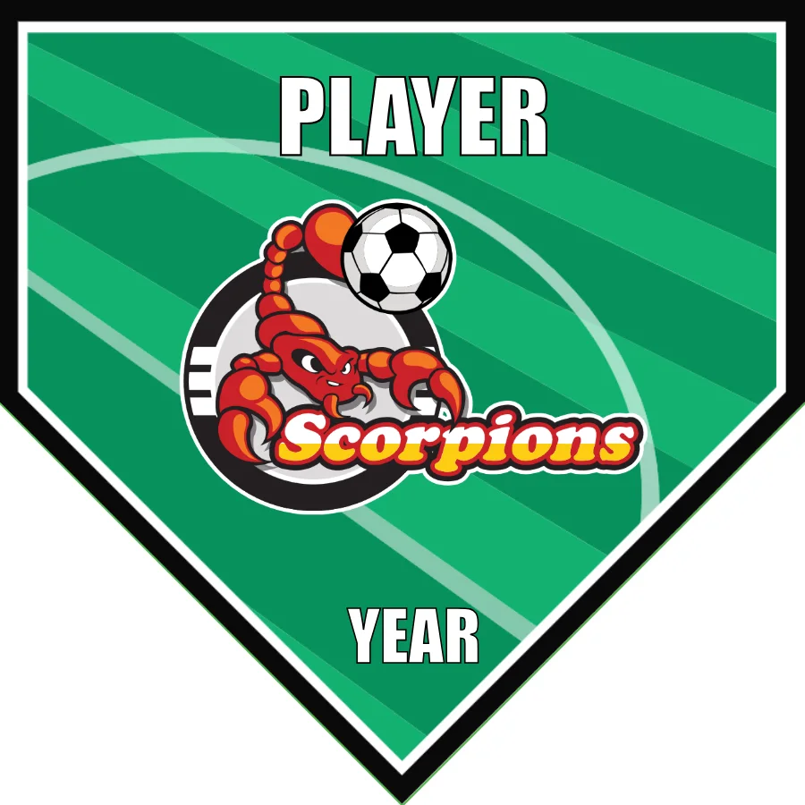 Scorpions Soccer Banner-soccer-banners-and-flags-picture