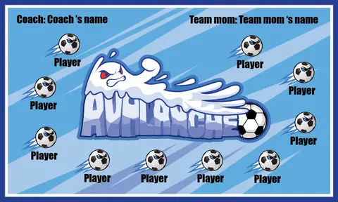 Avalanche Soccer Banner-ayso-soccer-banner-requirements-picture