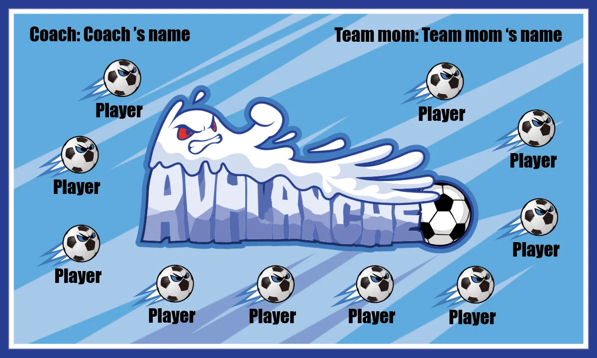 Avalanche Soccer Banner-ayso-soccer-banner-requirements-picture