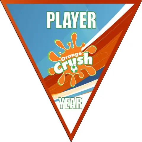 OrangeCrush Soccer Banner-soccer-banners-ideas-picture