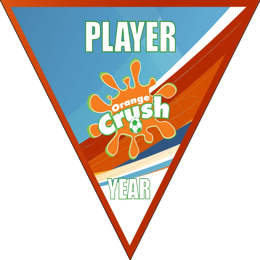 OrangeCrush Soccer Banner-soccer-banners-ideas-picture