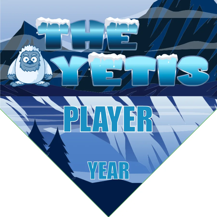 Yetis Soccer Banner-soccer-banner-frame-picture