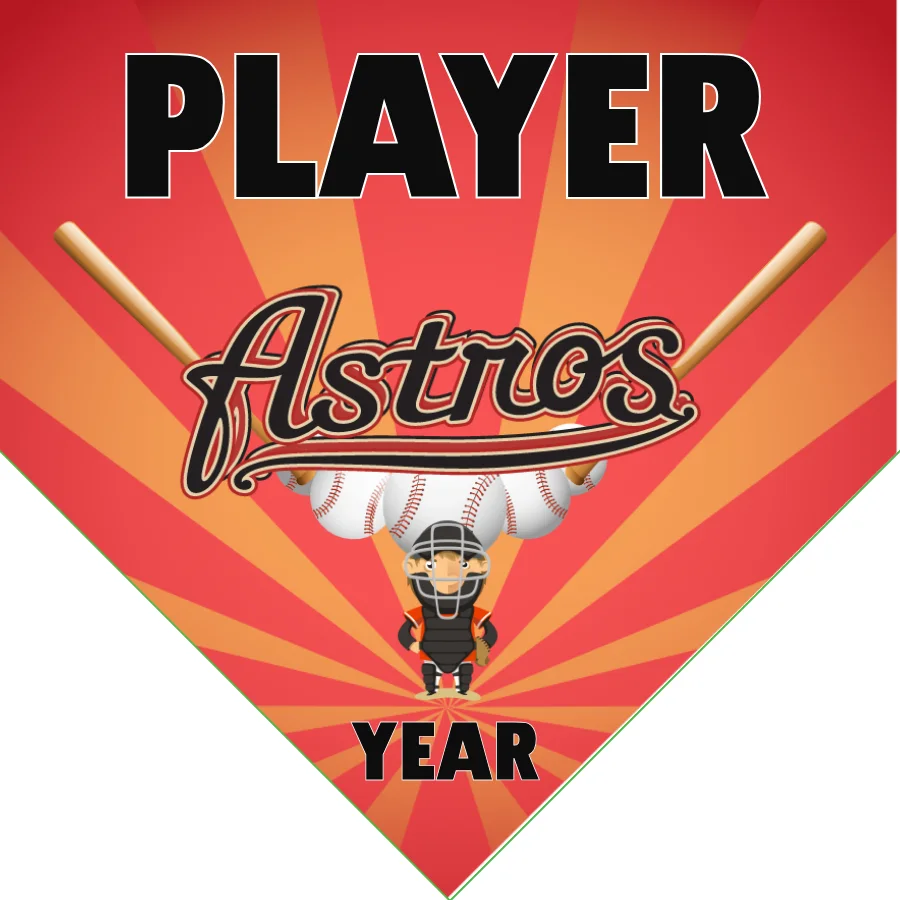 Astros Baseball Banner-routine-baseball-banners-images