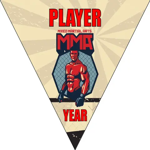 MMA Soccer Banner-soccer-banner-picture