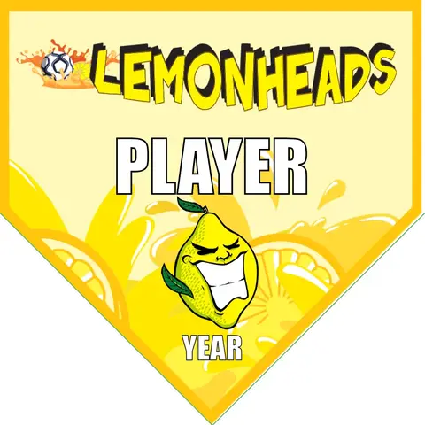 Lemonheads Soccer Banner-soccer-team-banners-picture