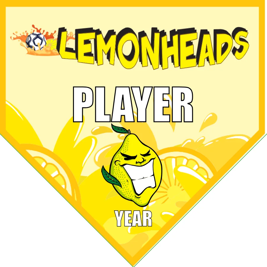Lemonheads Soccer Banner-soccer-team-banners-picture