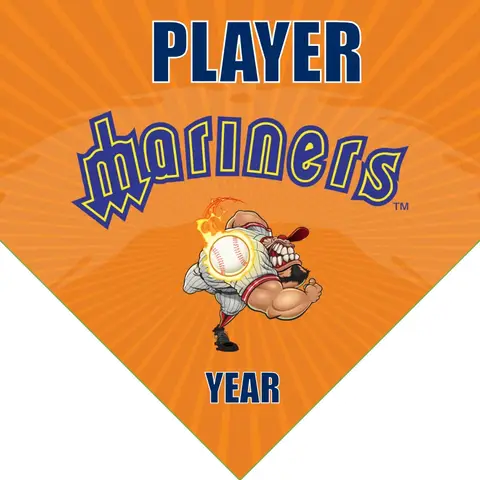 Mariners 3 Baseball Banner-baseball-banner-cost-images