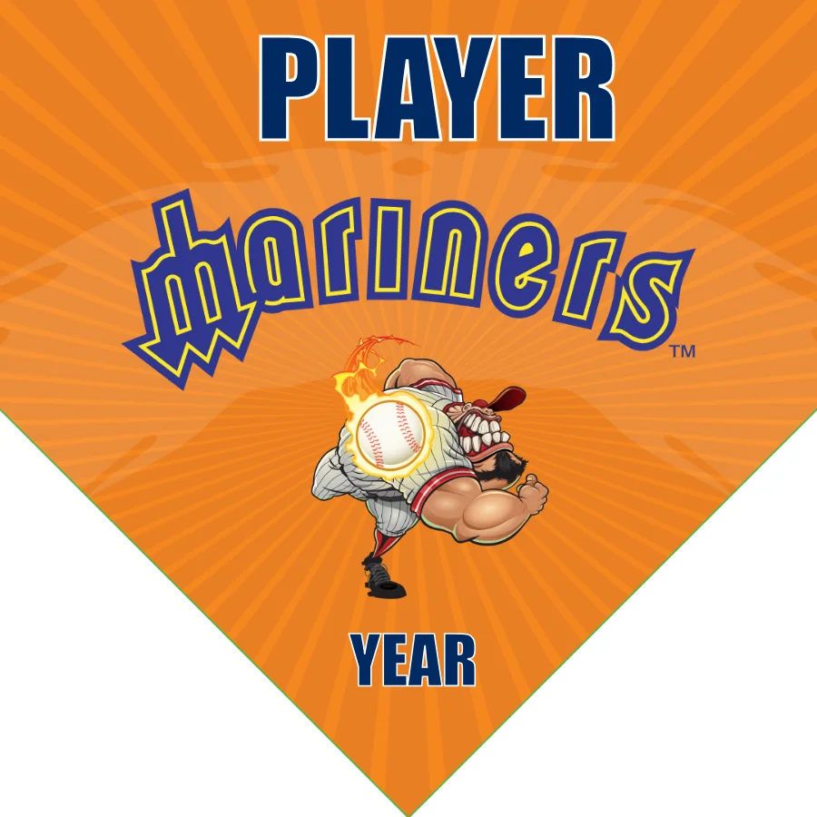 Mariners 3 Baseball Banner-baseball-banner-cost-images