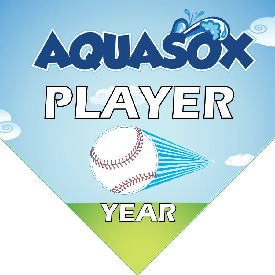 Aquasox 2 Softball Banner-how-to-make-softball-banner-images