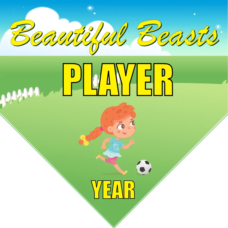 Beautiful Beasts 4 Soccer Banner-soccer-banners-near-me-picture
