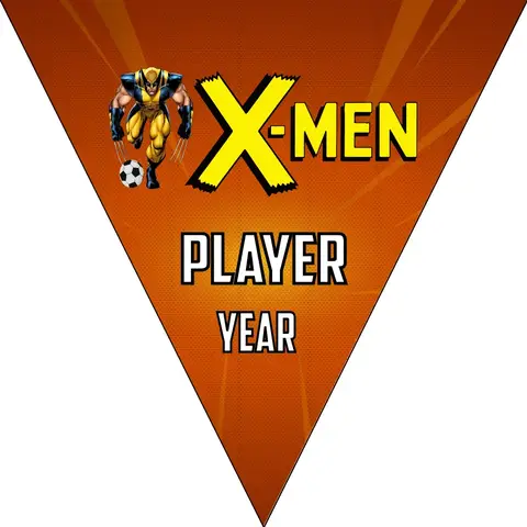 Xmen 2 Soccer Banner -soccer-banner-picture