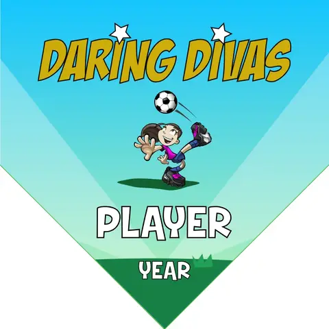 Divas Daring Soccer Banner-soccer-team-banner-flags-picture