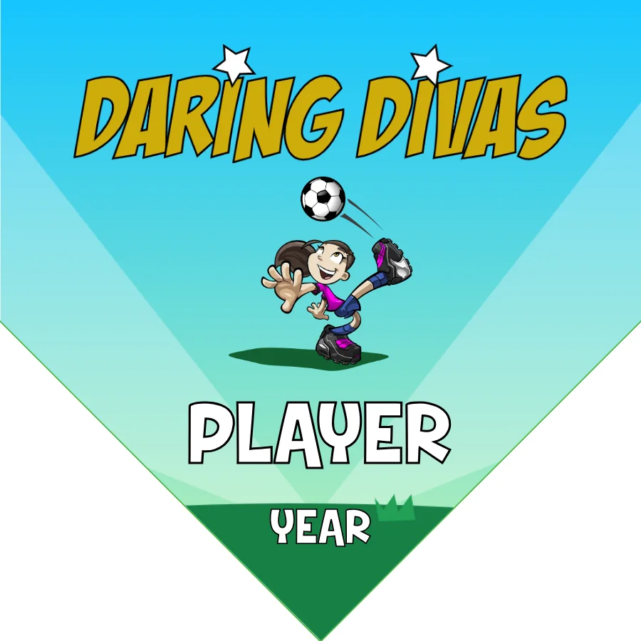 Divas Daring Soccer Banner-soccer-team-banner-flags-picture