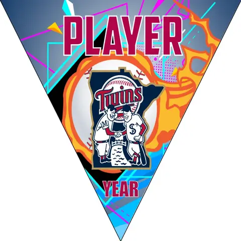 Minnesota Twins 2 Baseball Banner-design-baseball-banner-online-images